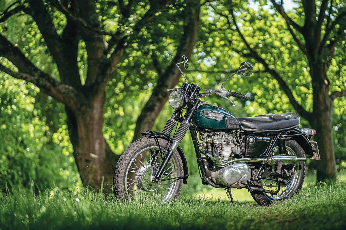 Triumph Tiger 500SC - Jack Pine | Classic Bike Hub